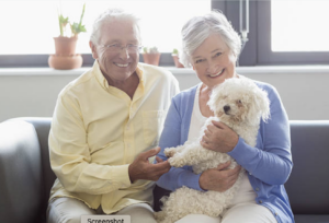 Pets-can-be-part-of-your-planning