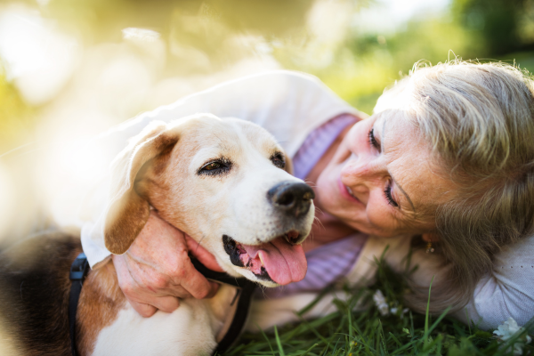 Why You Should Consider a Pet Trust for Your Furry Friends